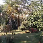 Studio Eden