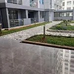 The Loftel Building Ruaka