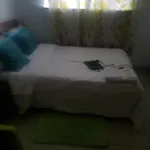 Pema Homes