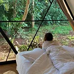 A-Frame In Leafy Karen,King Bed
