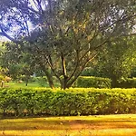 Karen Hardy Executive Homestay