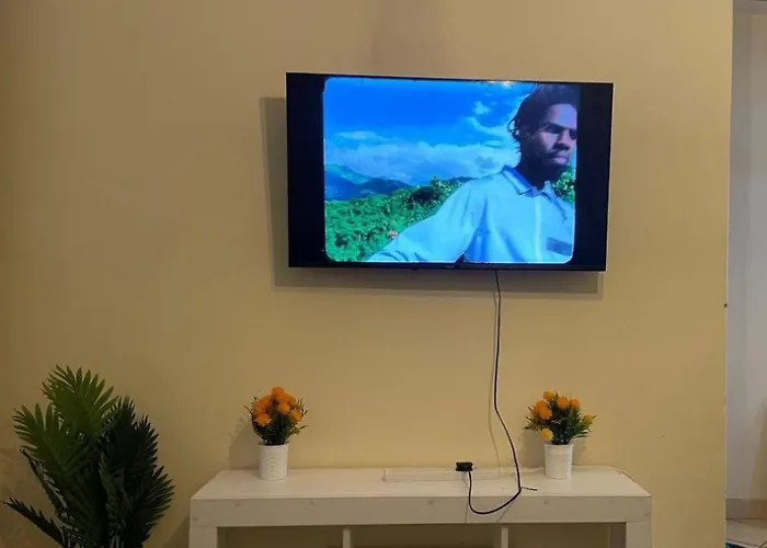 Dan Homes