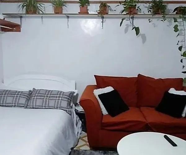 The Cozy Nest Studio - 87 Junction