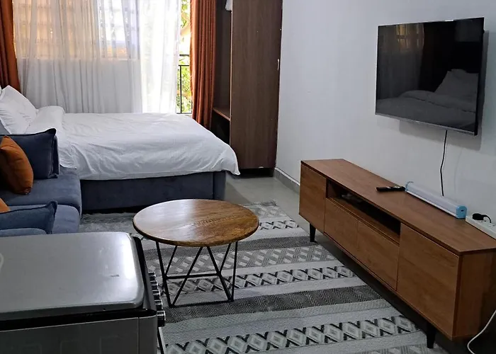 Cozy And Spacious Studio In Kasarani Seasons