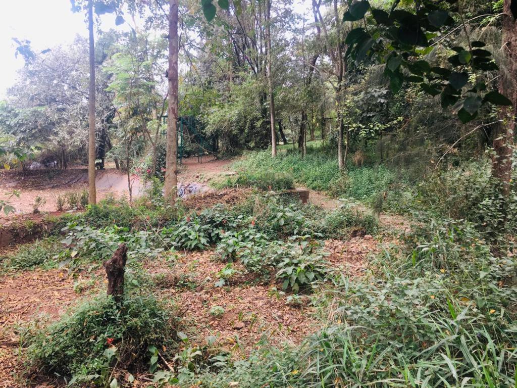Idyllic Mistley House And Gardens Off Kamiti Road.