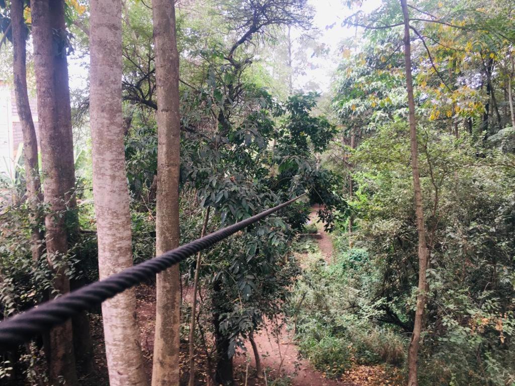 Acampamento Idyllic Mistley House And Gardens Off Kamiti Road. Nairobi