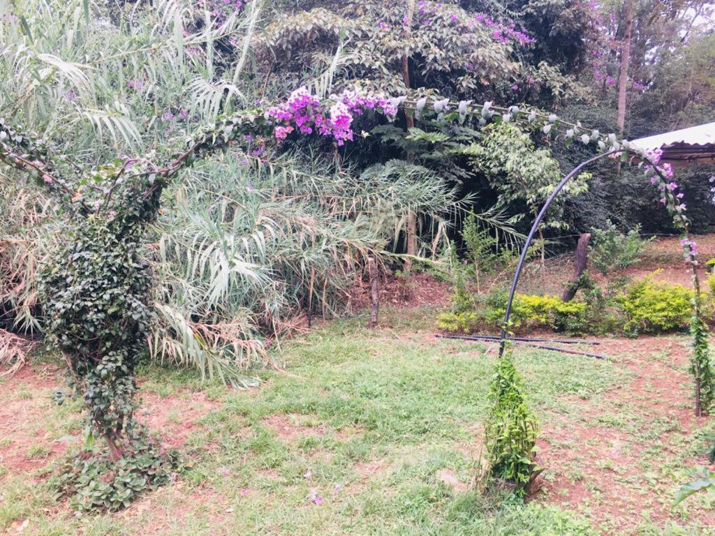 Acampamento Idyllic Mistley House And Gardens Off Kamiti Road.