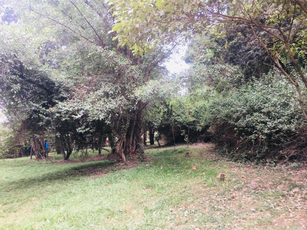 Idyllic Mistley House And Gardens Off Kamiti Road.