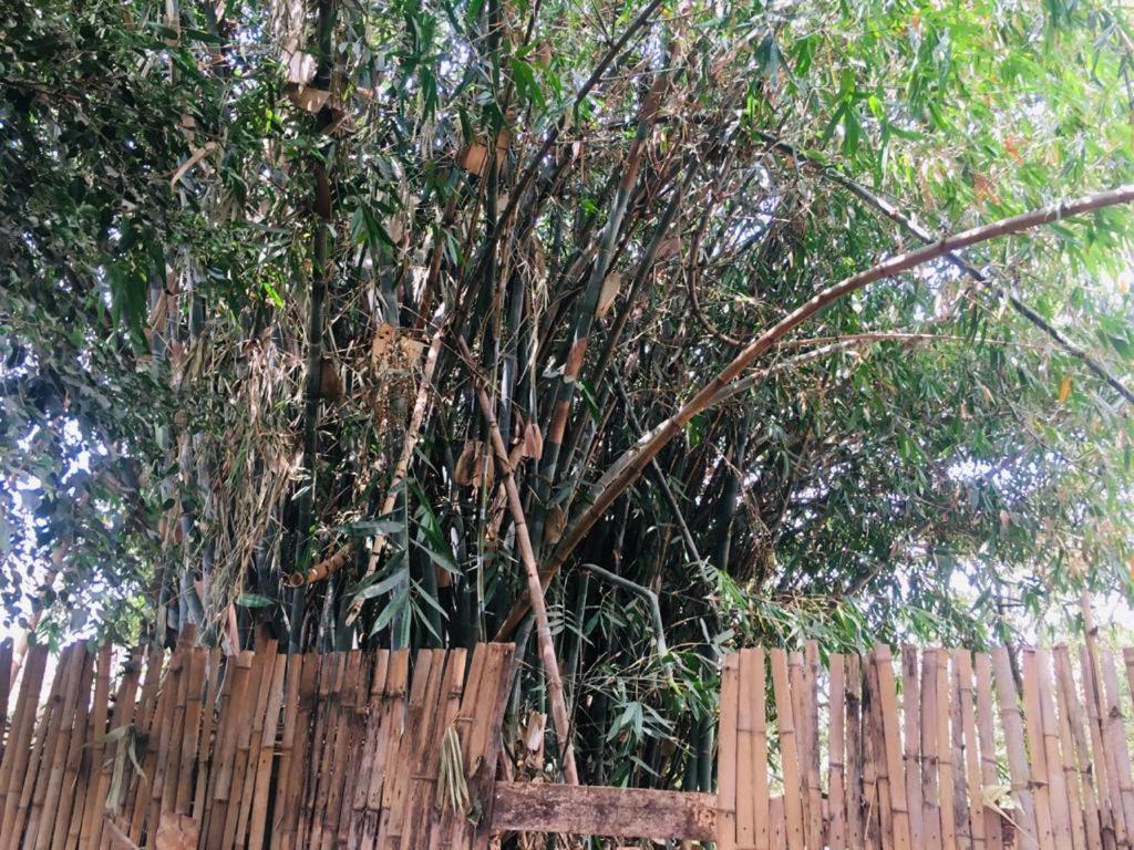 Idyllic Mistley House And Gardens Off Kamiti Road. Acampamento Nairobi