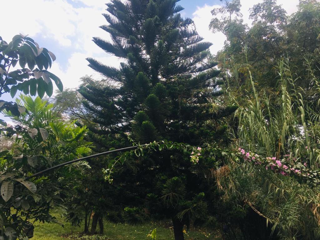 Idyllic Mistley House And Gardens Off Kamiti Road. * Nairobi