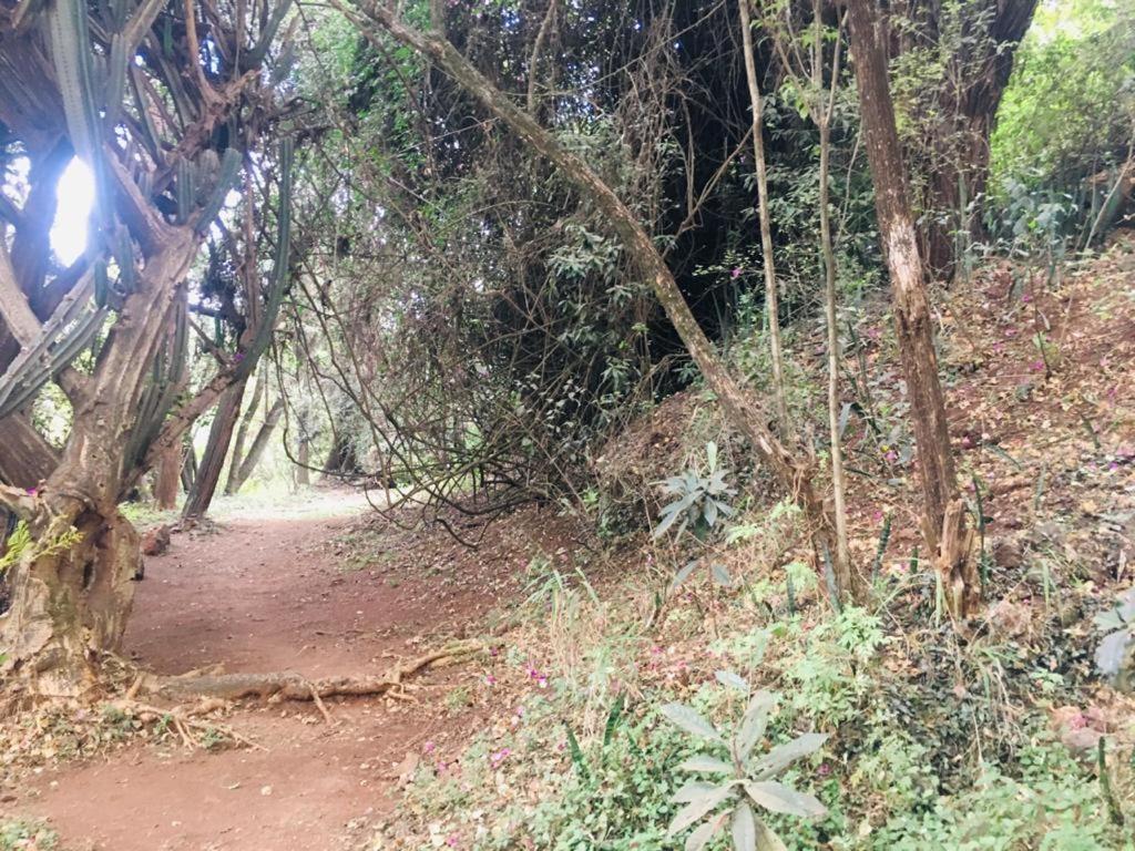 Acampamento Idyllic Mistley House And Gardens Off Kamiti Road.