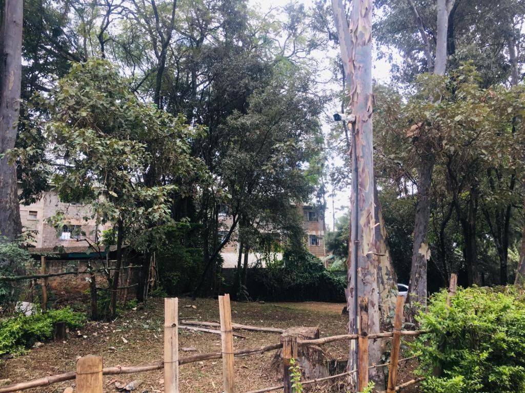 Idyllic Mistley House And Gardens Off Kamiti Road. Acampamento Nairobi