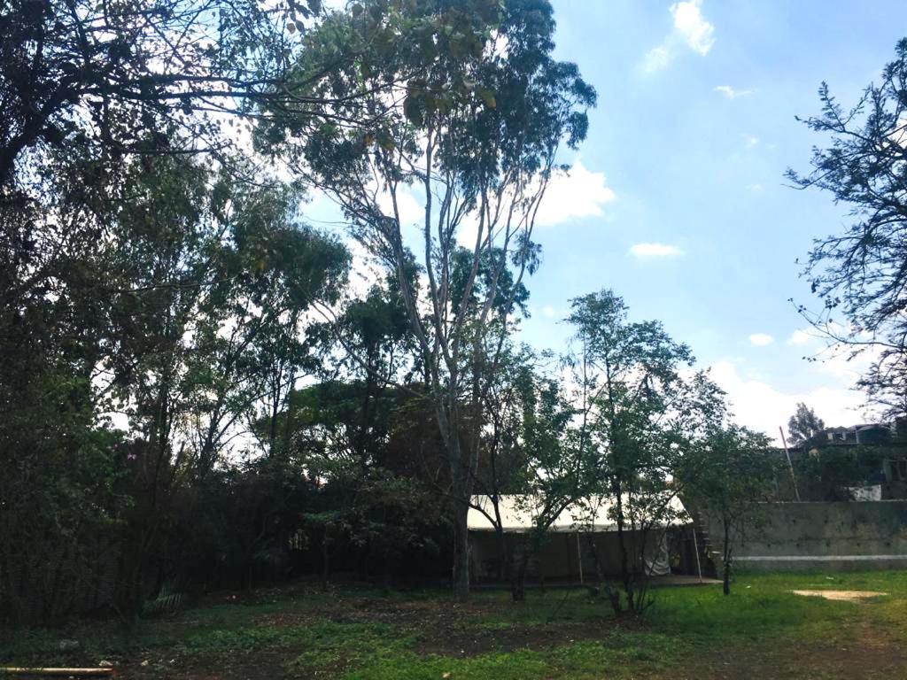 Idyllic Mistley House And Gardens Off Kamiti Road. *