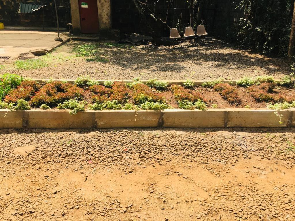 Idyllic Mistley House And Gardens Off Kamiti Road. * Nairobi