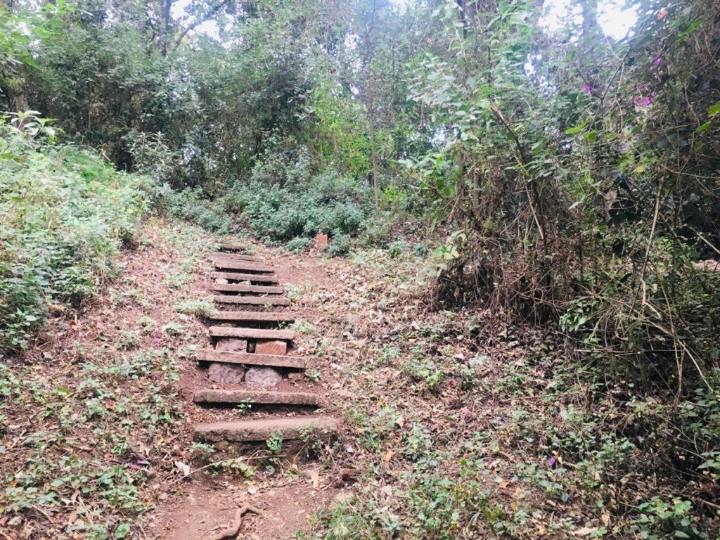 Acampamento Idyllic Mistley House And Gardens Off Kamiti Road. Nairobi