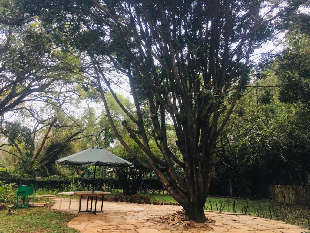 Idyllic Mistley House And Gardens Off Kamiti Road. *