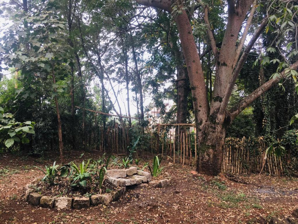 Idyllic Mistley House And Gardens Off Kamiti Road.