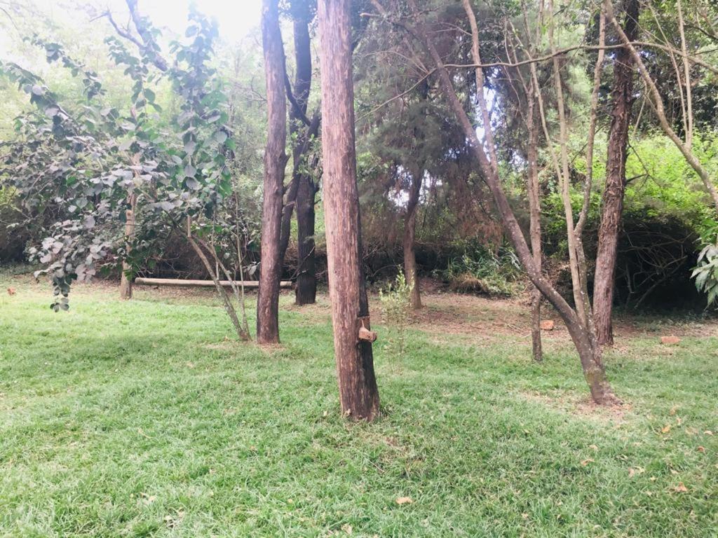 Idyllic Mistley House And Gardens Off Kamiti Road. *