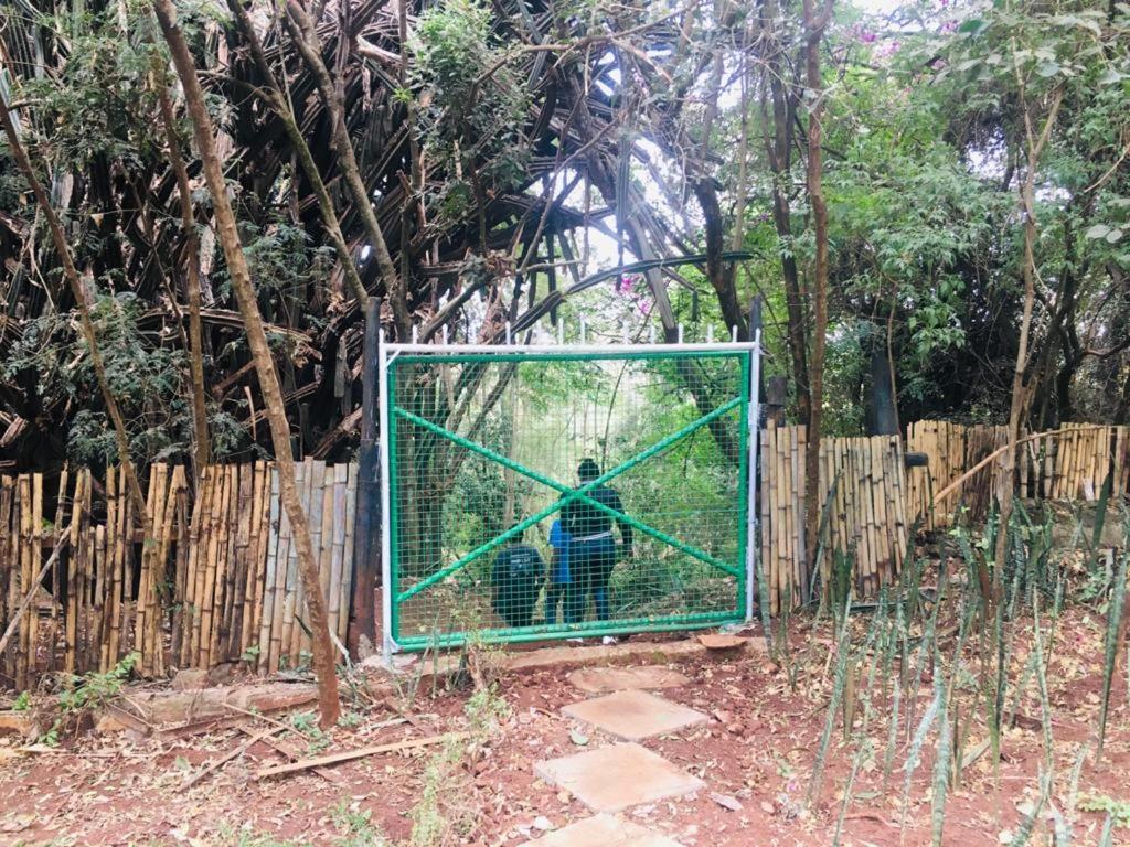 Idyllic Mistley House And Gardens Off Kamiti Road. Nairobi