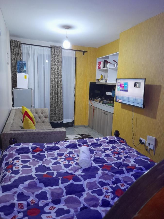 Apartamento Studio/one-roomed House/bedsitter-trm, Thika Road,roysambu Nairobi