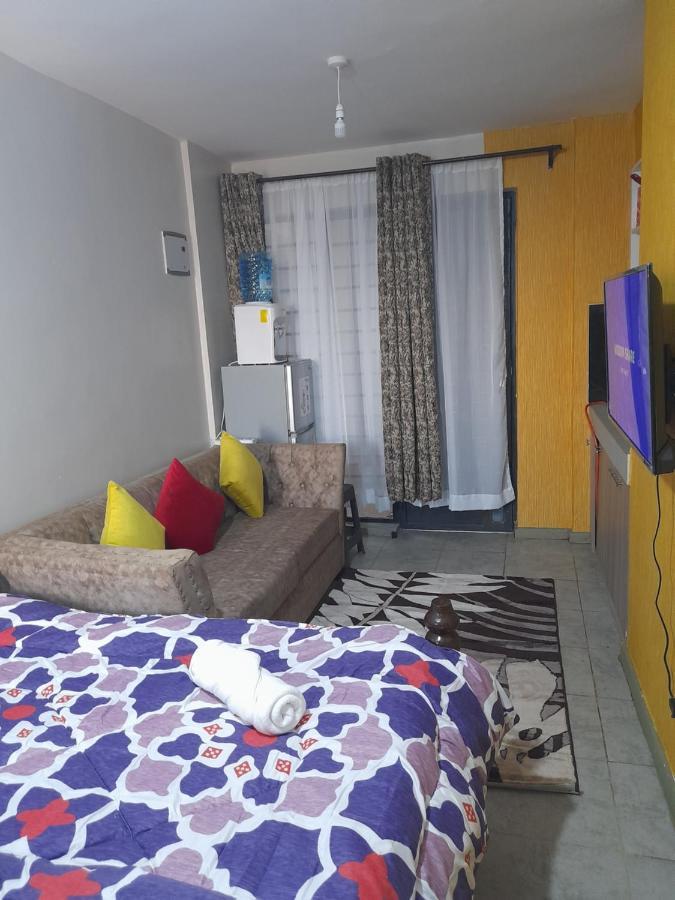 Studio/one-roomed House/bedsitter-trm, Thika Road,roysambu Apartamento Nairobi