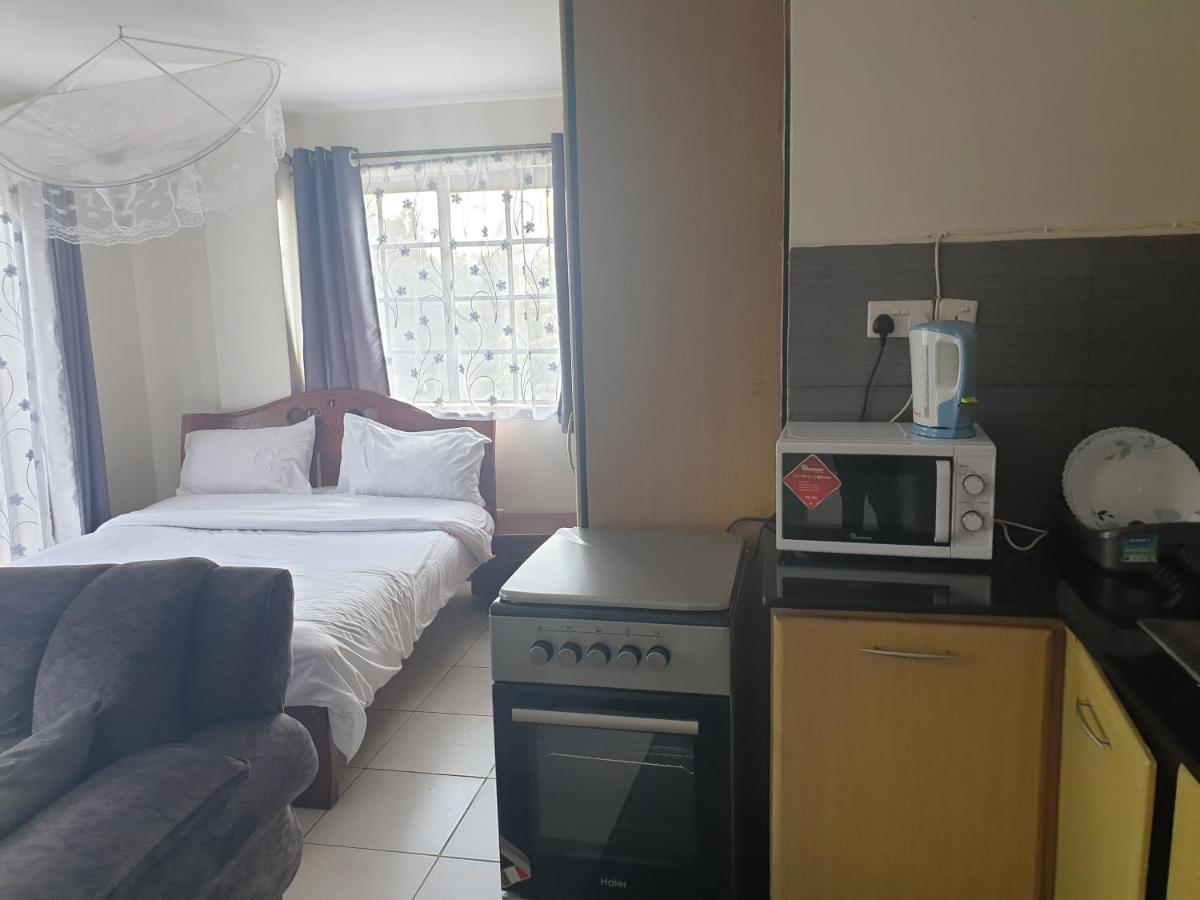 Furnished Apartment- Ngara Apartment *