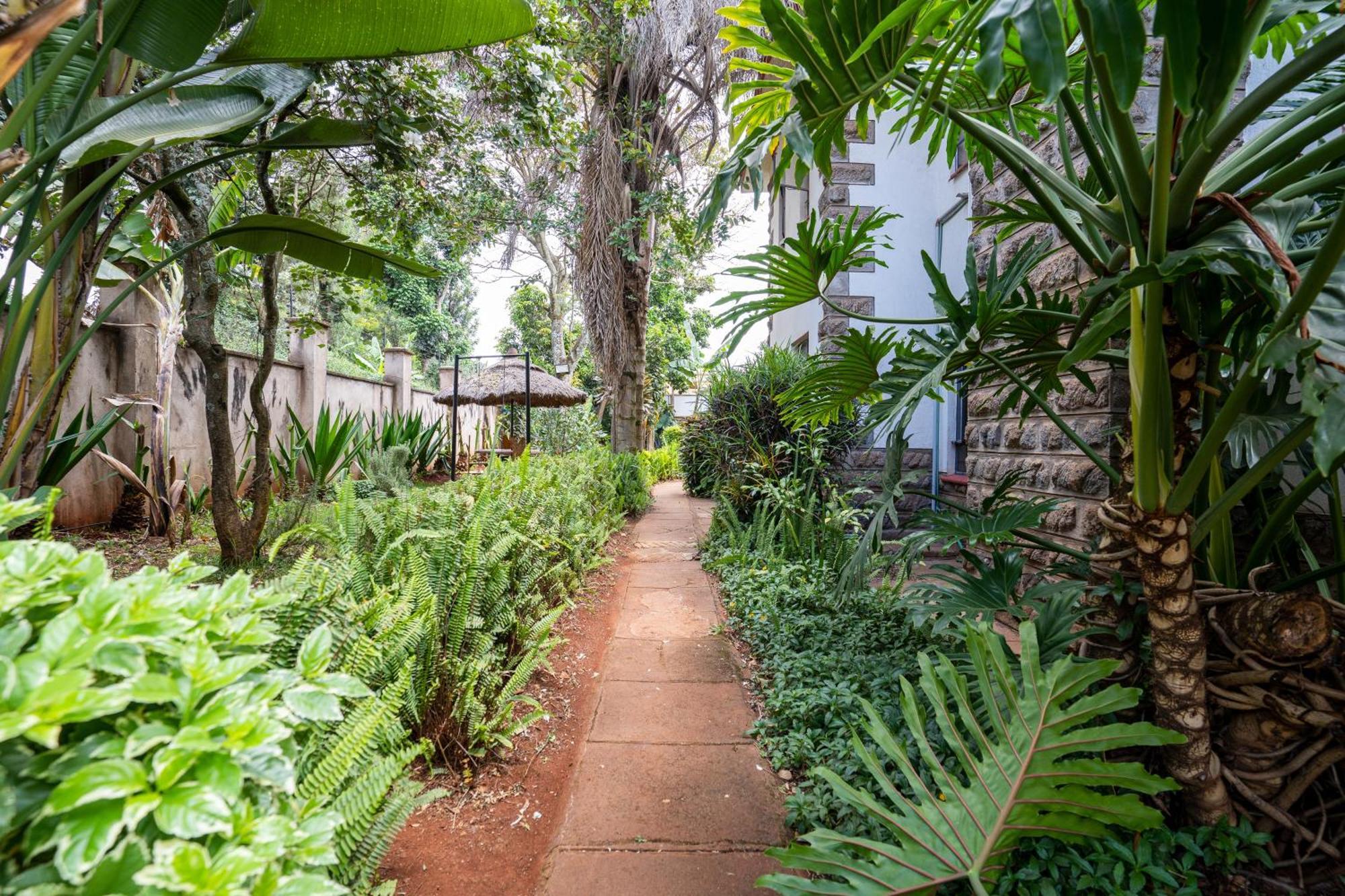 Guest house Bonsai 3*
