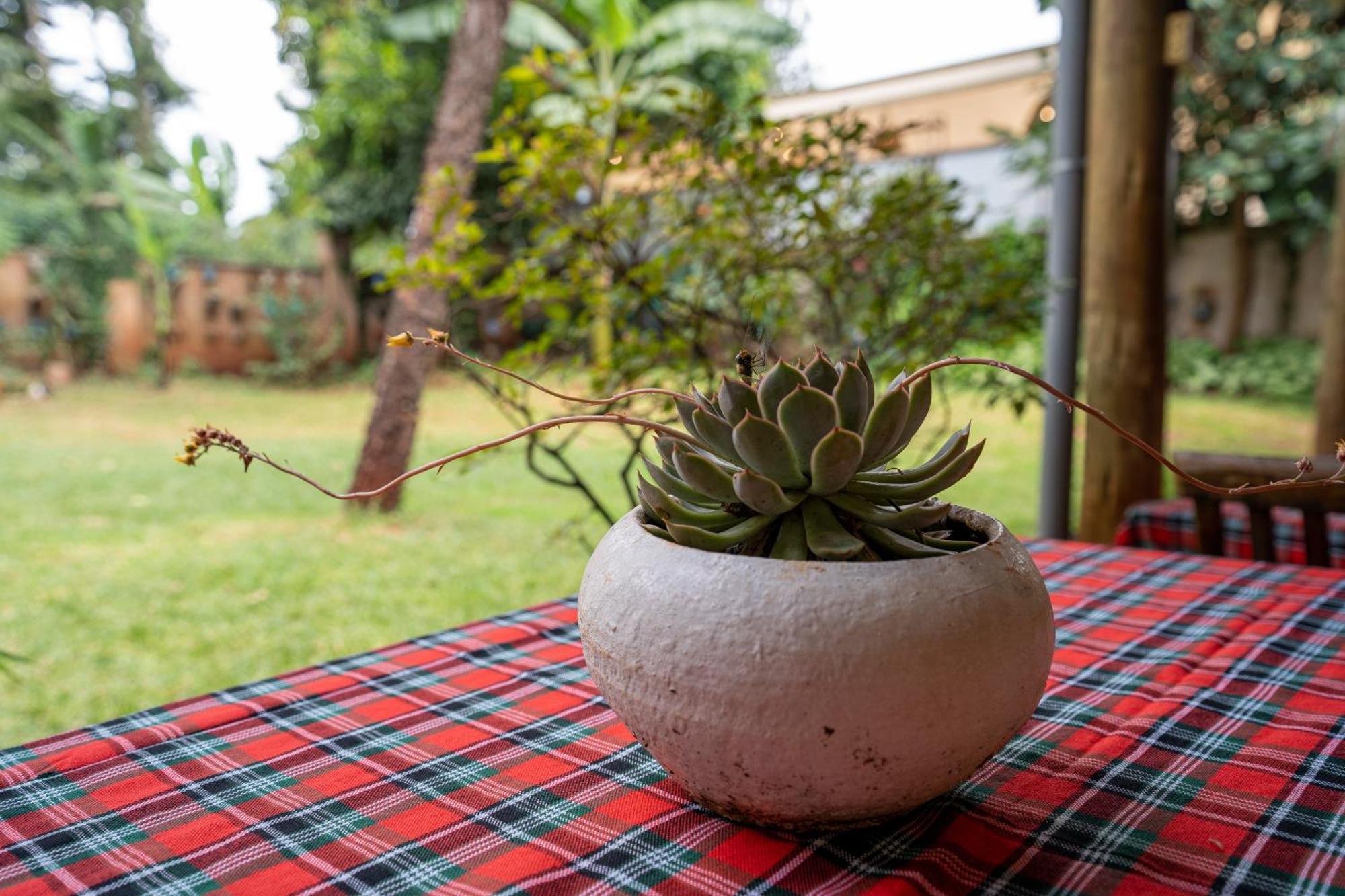 Bonsai Guest house 3*