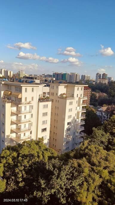 Apartment Sky-high Serenity: Your Modern 1br Retreat On The 10th Floor *