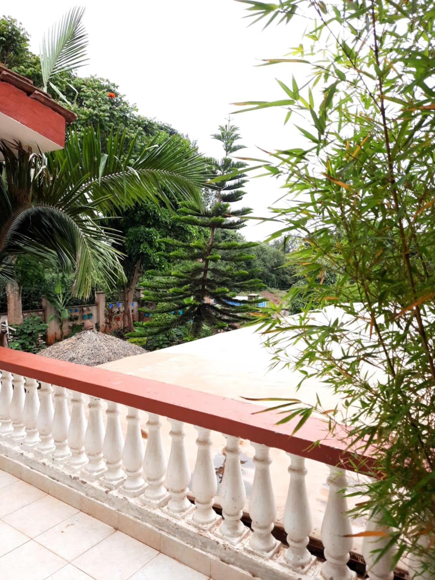 Guest house Bonsai 3*