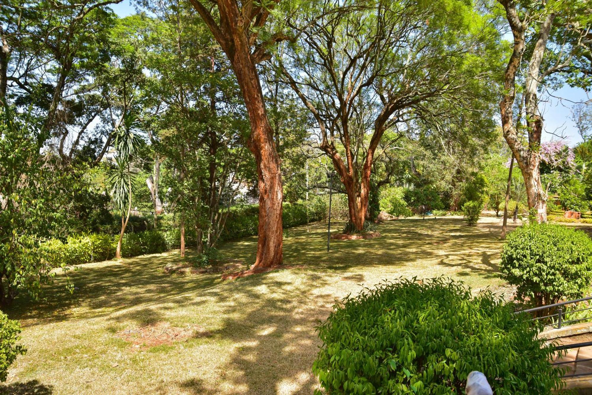 Kongoni House Hotel *