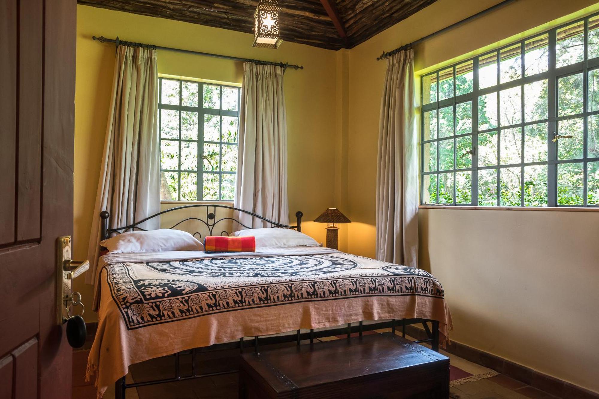 The Jungle Oasis With Heated Pool