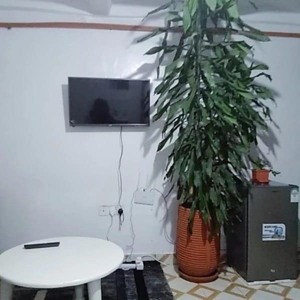 The Cozy Nest - 87 Junction Apartment