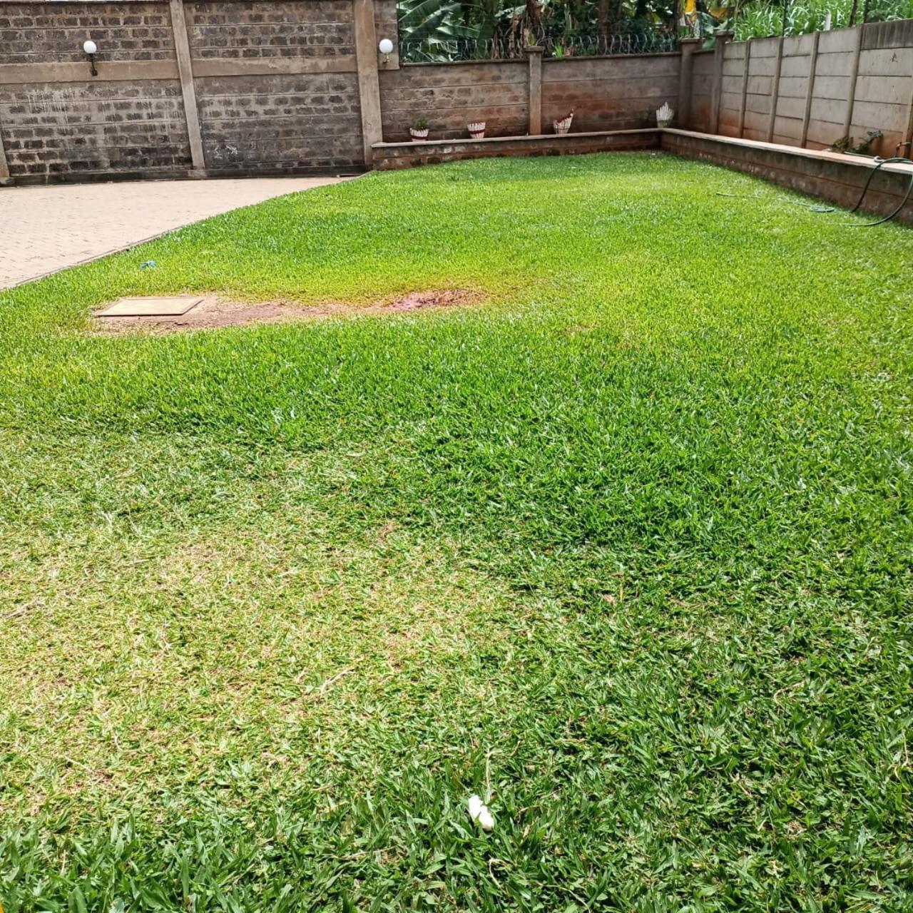Apartment The Perfect 2br In Ruaka Near Two Rivers *