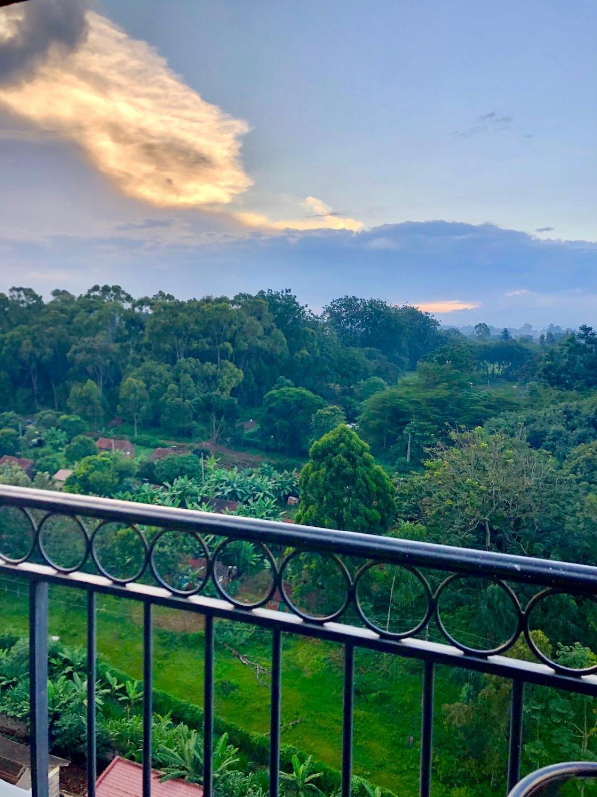 Bella Vista! Sweeping Nature Views In Kileleshwa! Apartment Nairobi