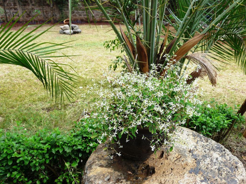 Maison Mitwaba Bed & Breakfast
