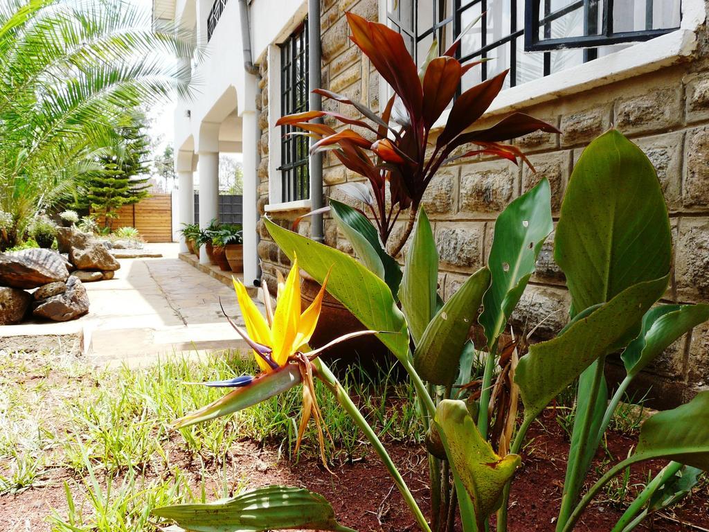 Maison Mitwaba Bed & Breakfast Nairobi