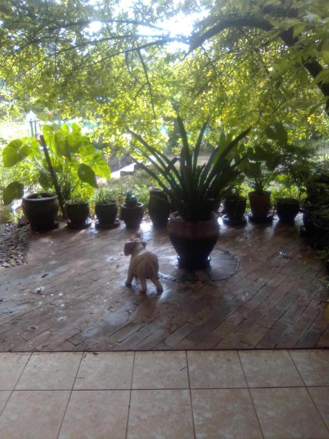 Hospedagem domiciliar Casablanca Nairobi