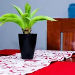 Martha\'S Cozy Home Near Jkia Airport