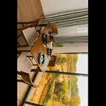 Parklands Villa Hotel