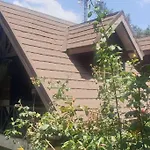 The Annex At 64 : Cozy, Rustic Cottage/Treehouse