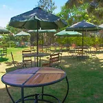 Lulu Ziwani Garden