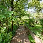 Yarkona Hedge