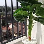 Glory Homes