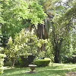 Venia Place