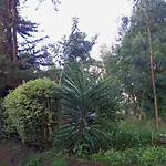 Jacaranda, Kahawa West 2 Bedroom Fully Furnished