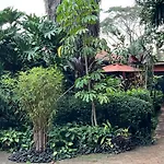 Lake View Studios