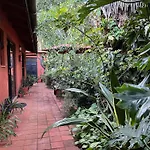 Lake View Studios