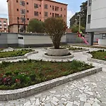 Cosynook Home City Oasis Gardens