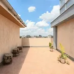 Penthouse Rooftop Studio With King Bed